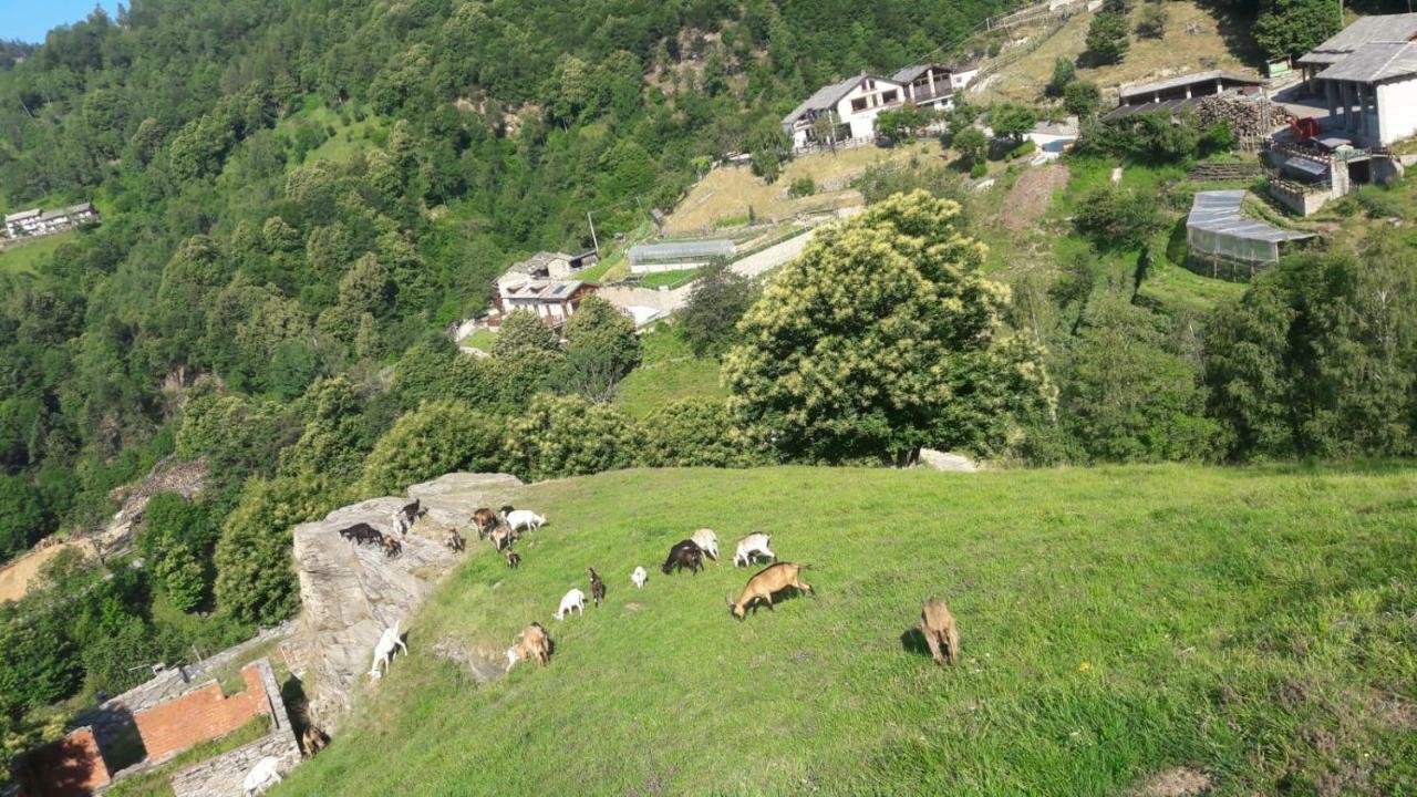 Agriturismo Fiorendo Pinerolo Esterno foto
